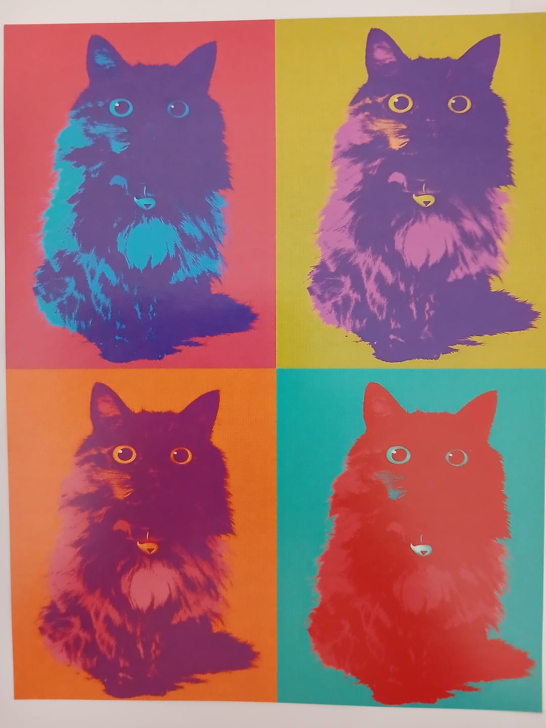 Customer photo review of Personalised Poster With Dog or Cat - Colour Squares