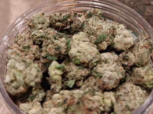Boutique Exotics - Obama Runtz - 28 Grams - Hybrid photo review