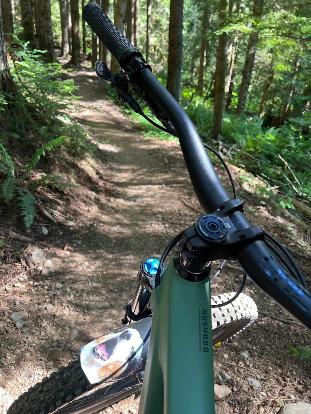 Customer photo review of Custom Fender