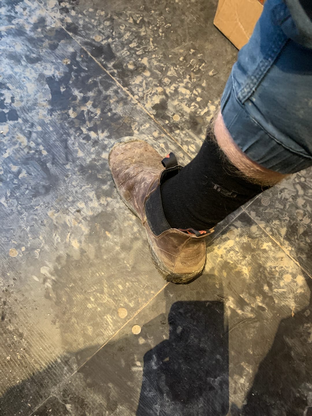 Customer photo review of Boot Socks