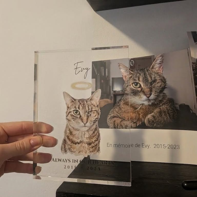 Customer photo review of The Eternal Light - Custom Memorial Pet Photo Acrylic