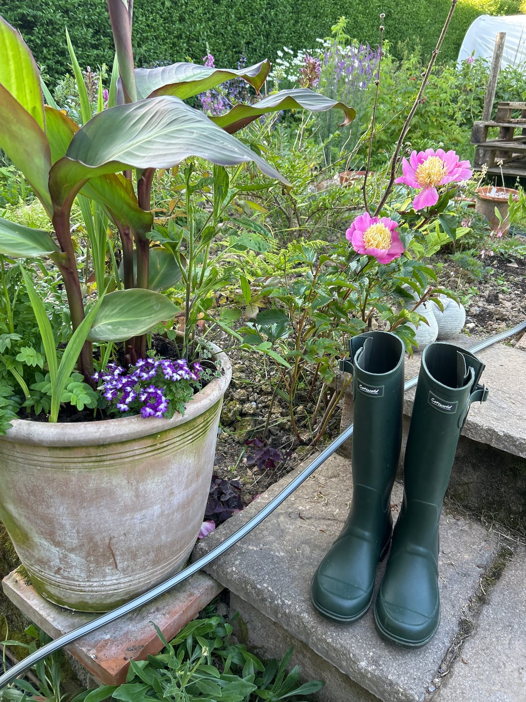 Customer photo review of Ragley Waterproof Wellingtons Green