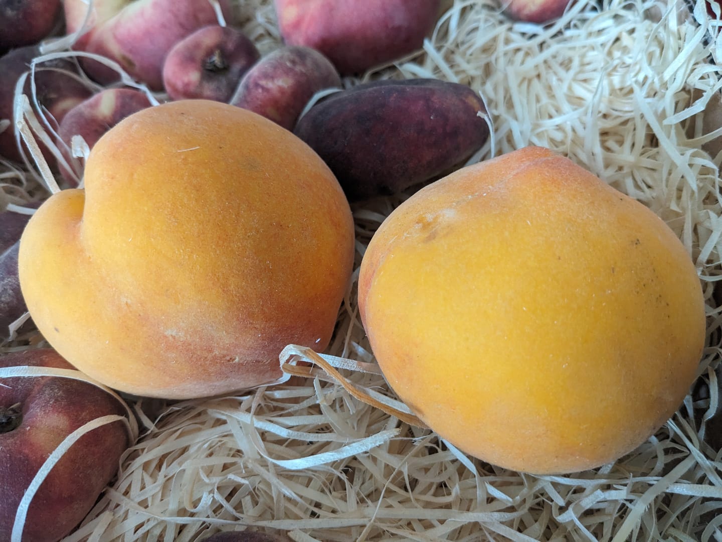 Customer photo review of Bio Obst & Gemüse Retterbox 5kg