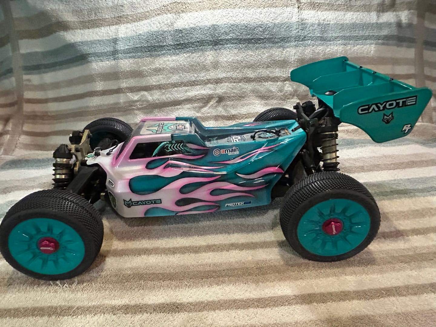 Customer photo review of Rlaarlo 1/8 4WD Buggy Dragon Scale Knight | DSK KIT