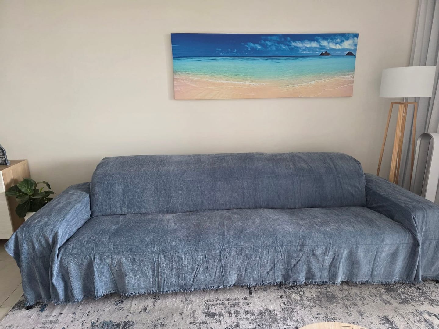 Customer photo review of CouchCare™️ Couch Protector