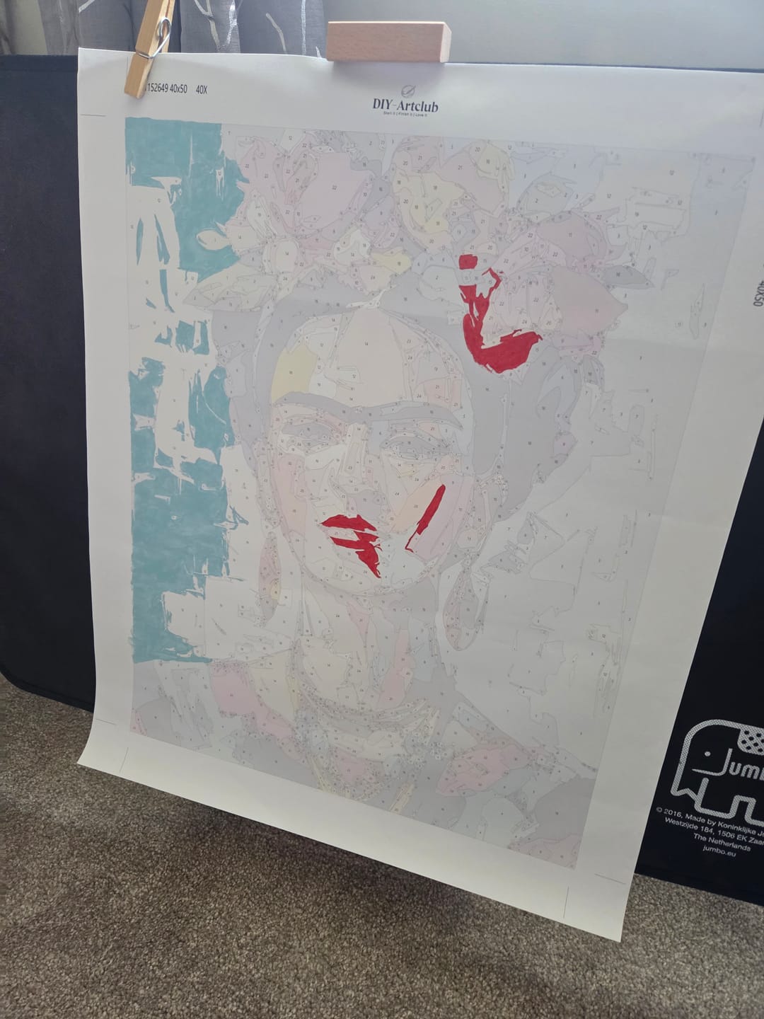 Customer photo review of Expressive Frida | Paint by Number