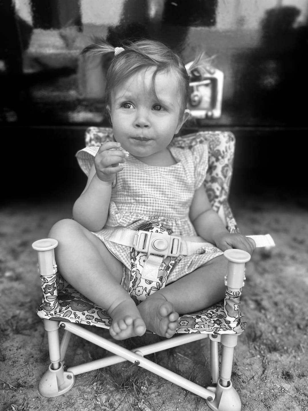 Customer photo review of Paloma baby chair EU