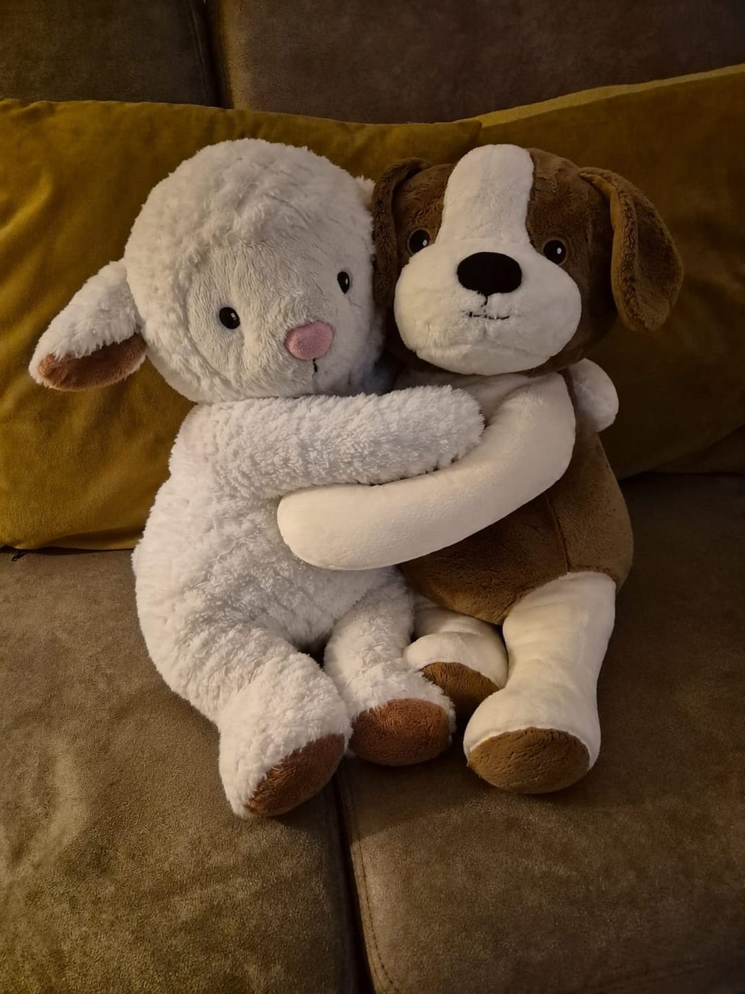 Customer photo review of Lotgenootje Hond 2kg