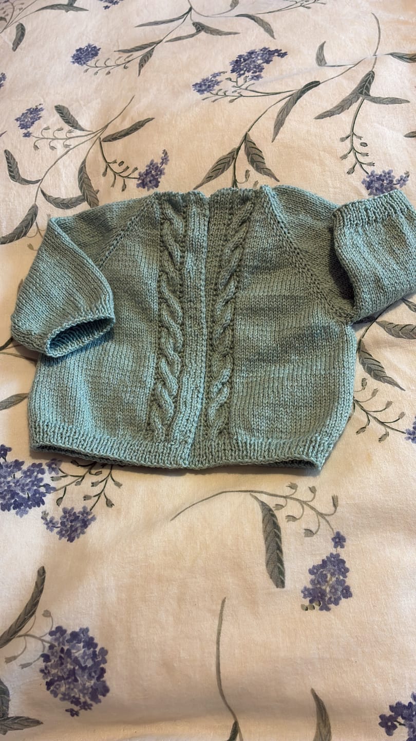 Customer photo review of Verde salvia 917 merino light sport