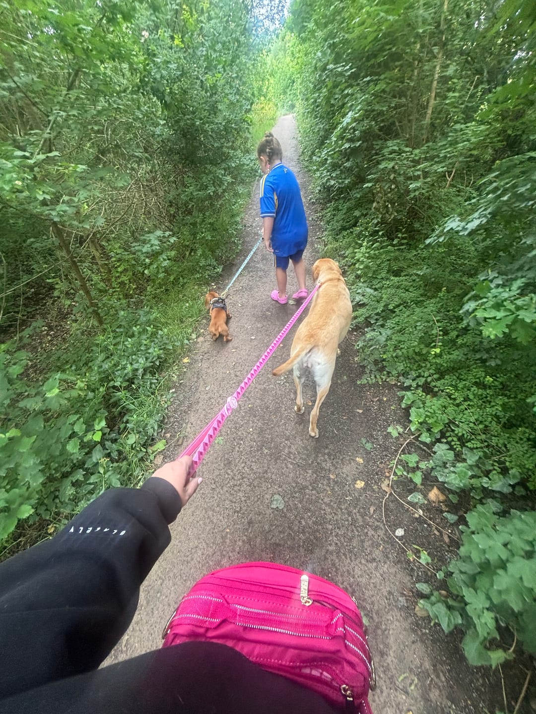Customer photo review of All In One Bumbag - Raspberry Pink