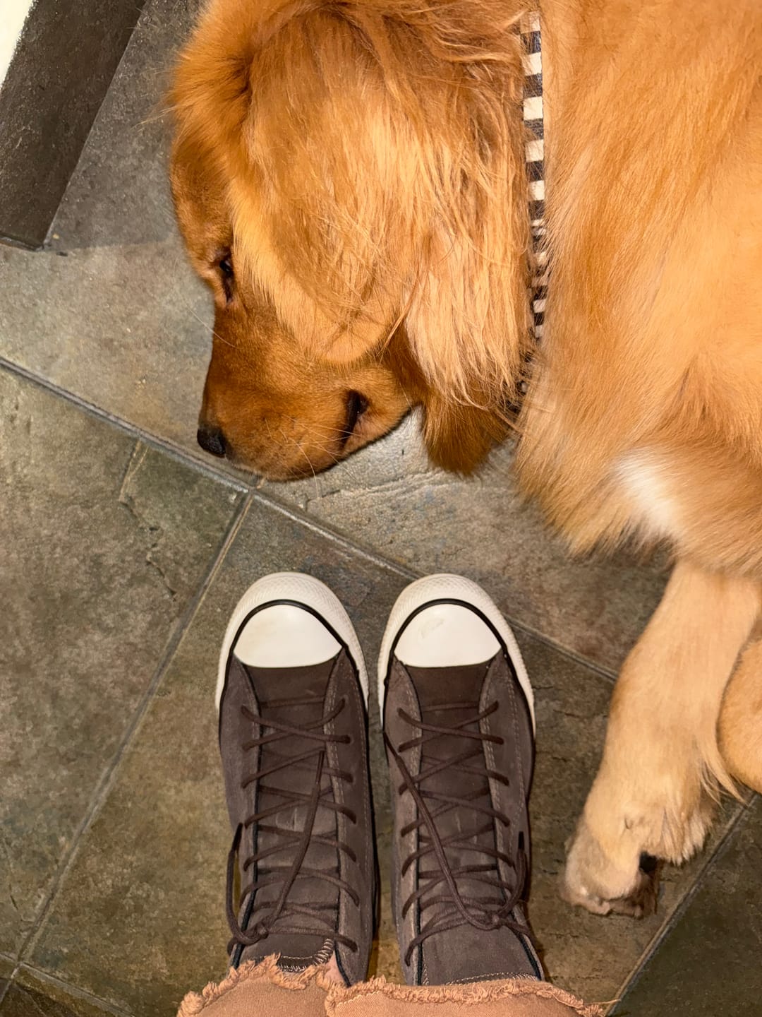 Customer photo review of Zapatillas Converse Chuck Taylor Hi SE Marrón