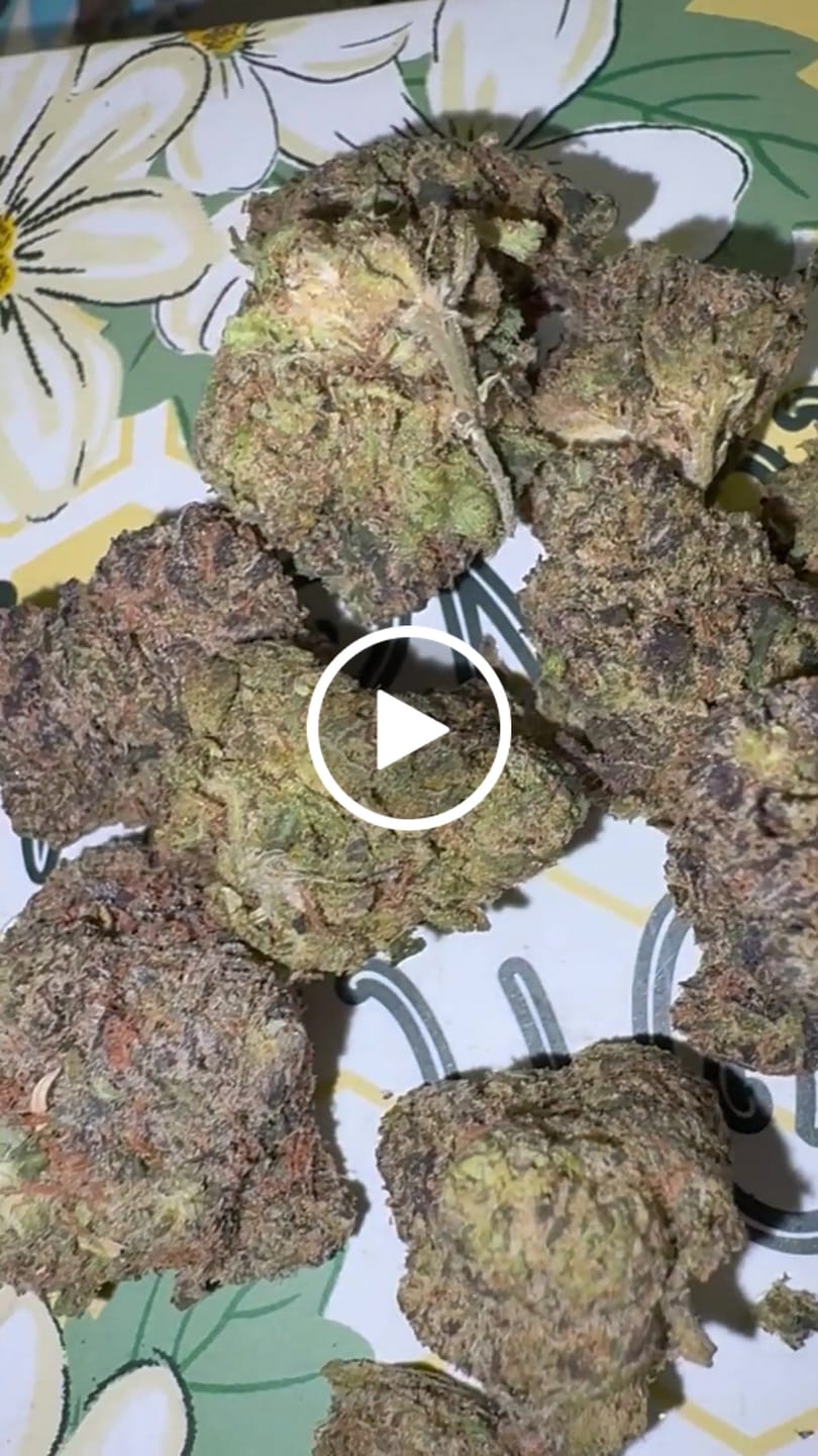 Customer video review of Exotic Shake