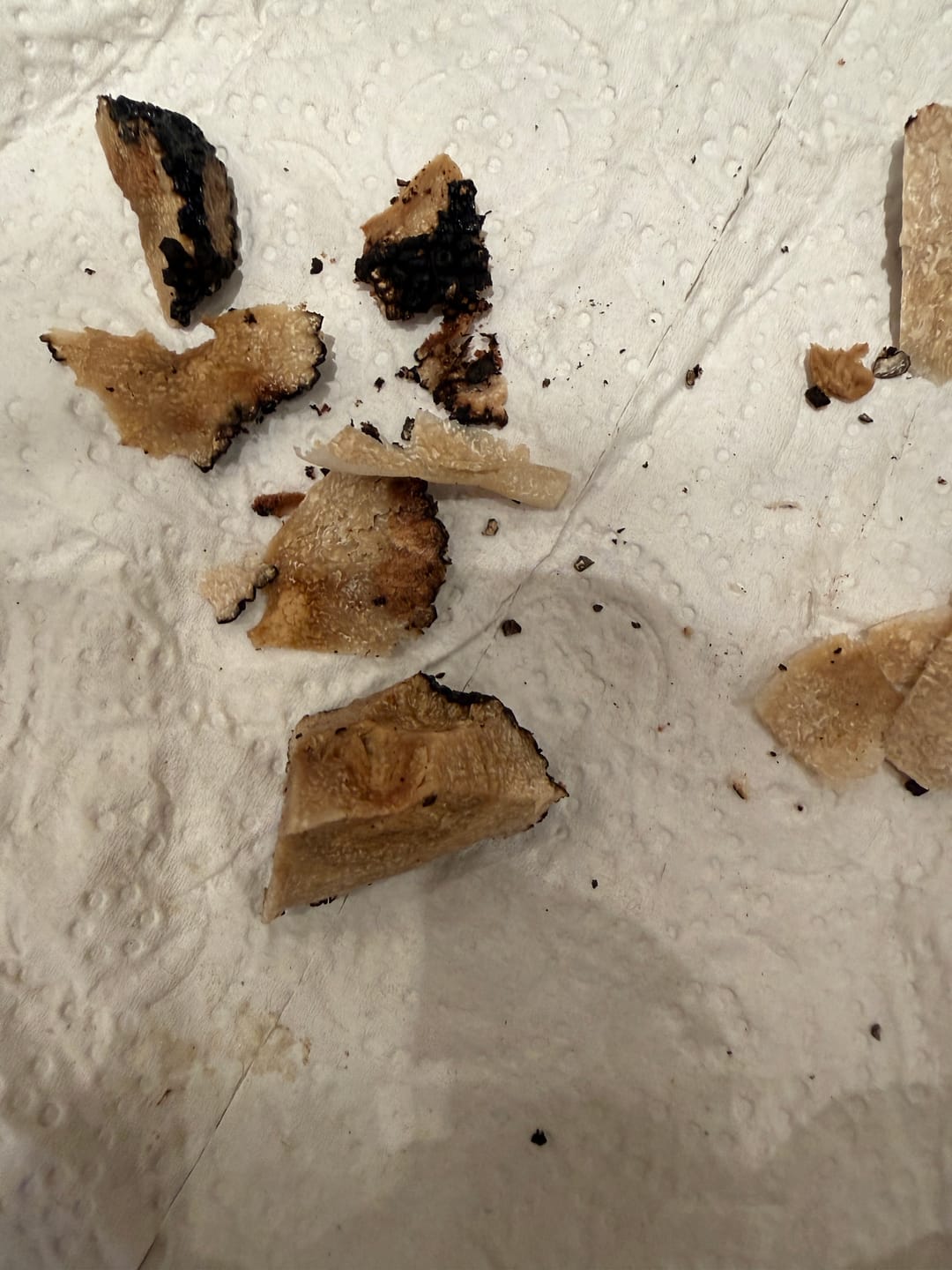 Customer photo review of Tuber Aestivum - Sommertrüffel - aus Italien