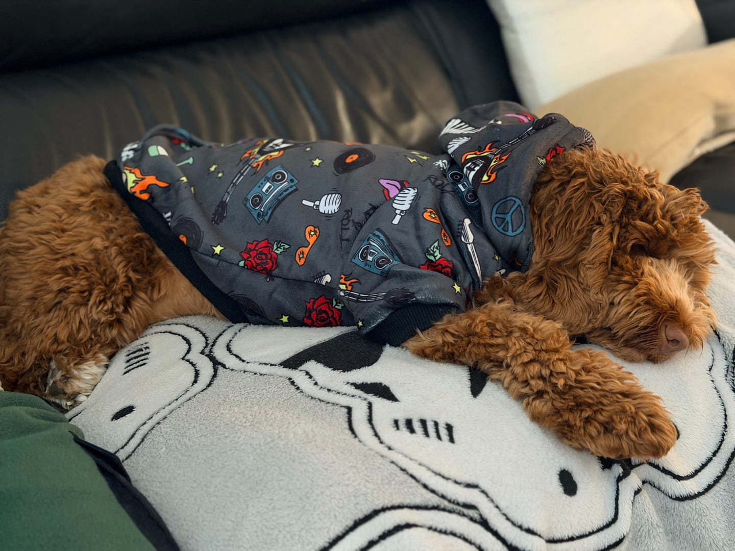 Customer photo review of Rock and Roll Dog Hoodie
