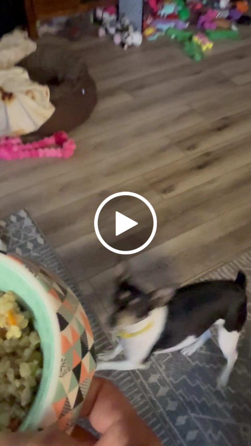 Customer video review of Whole Grain Original Base Mix