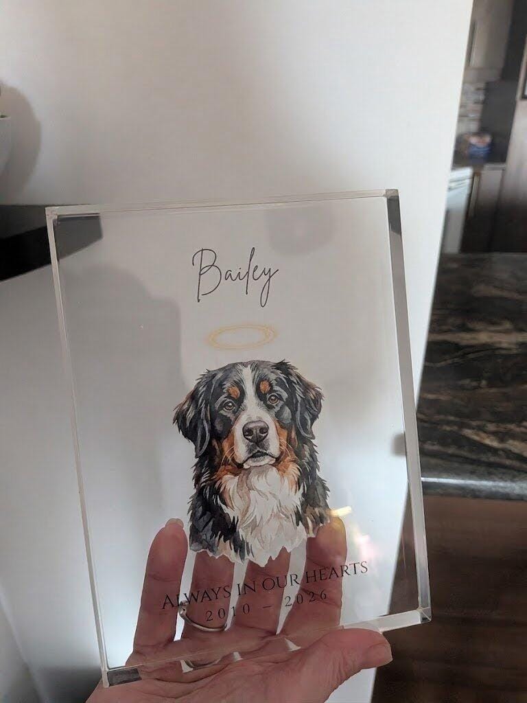 Customer photo review of The Eternal Light - Custom Memorial Pet Photo Acrylic