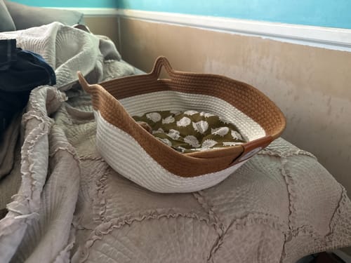 Customer photo review of Instinct Basket | Meet the first research-backed natural territory for indoor cats