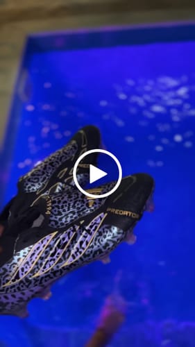 Avis vidéo d'un client sur Adidas Predator 26 Elite Fold-over Tongue FG Kaká - Noir/Violet/Doré ÉDITION LIMITÉE