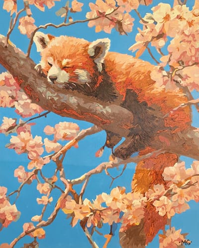 Customer photo review of Blossom Dreamer Panda