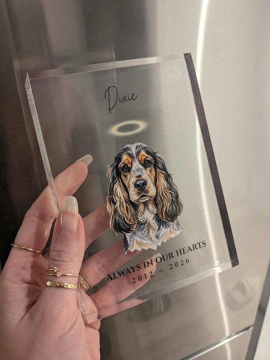 Customer photo review of The Eternal Light - Custom Memorial Pet Photo Acrylic