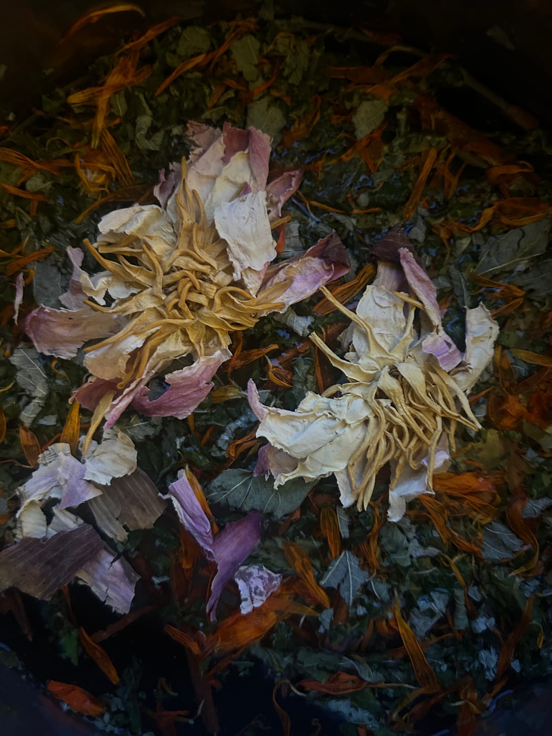 Customer photo review of Crushed Blends