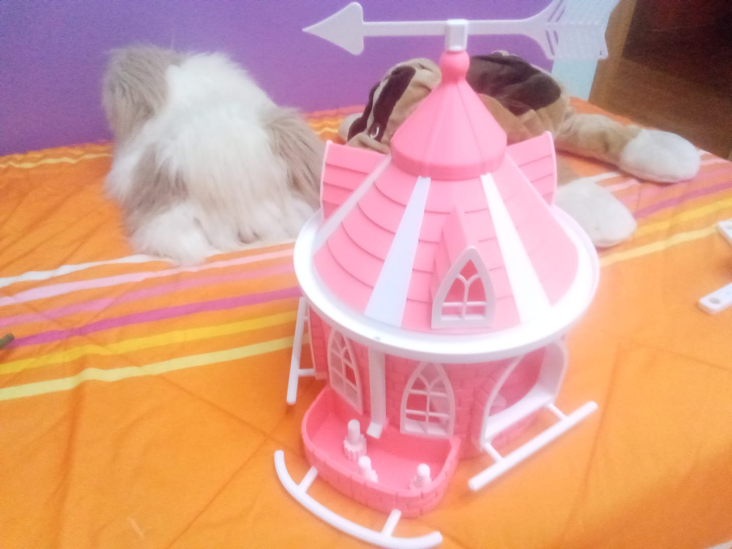 Customer photo review of PETG