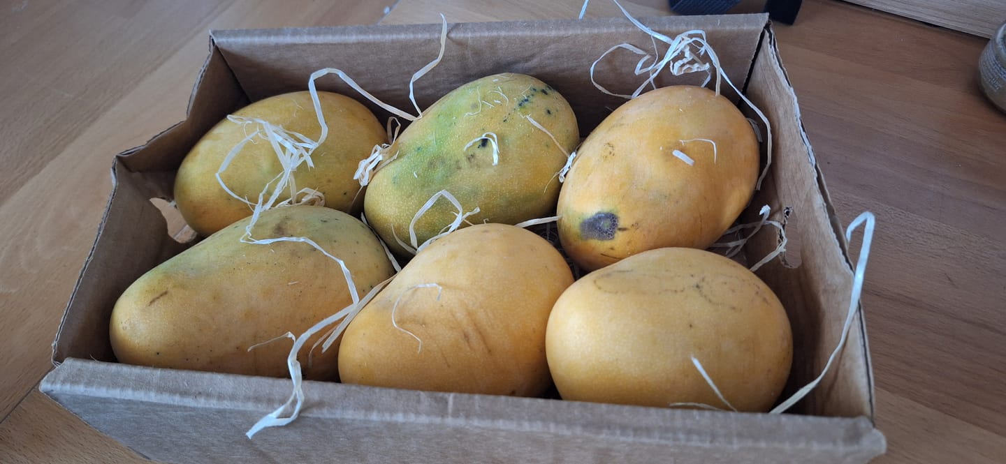 Customer photo review of Mango Mingolo baumgereift Sonderaktion % 2kg Box