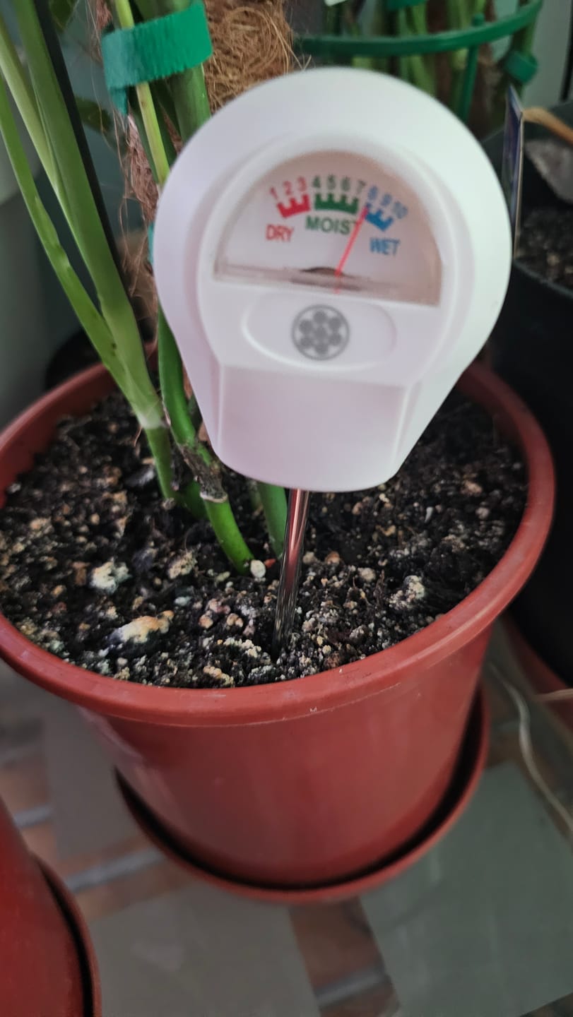 Customer photo review of Soil Moisture Meter