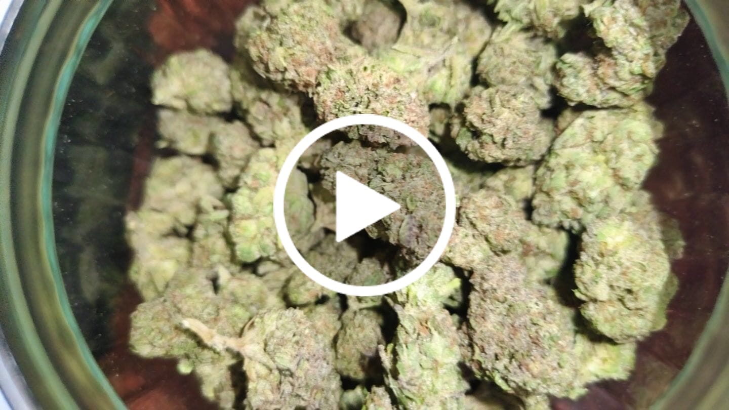 Customer video review of Candy Cartel Light Assist THCA