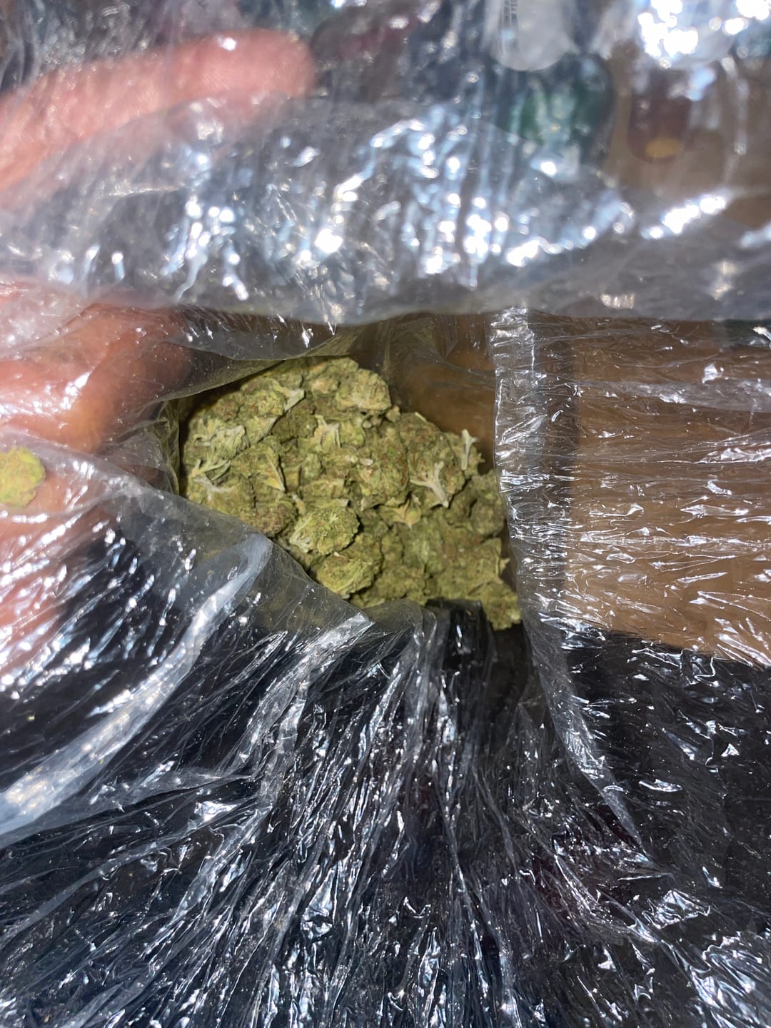 Customer photo review of Gas Face - Bulk - (Indica)