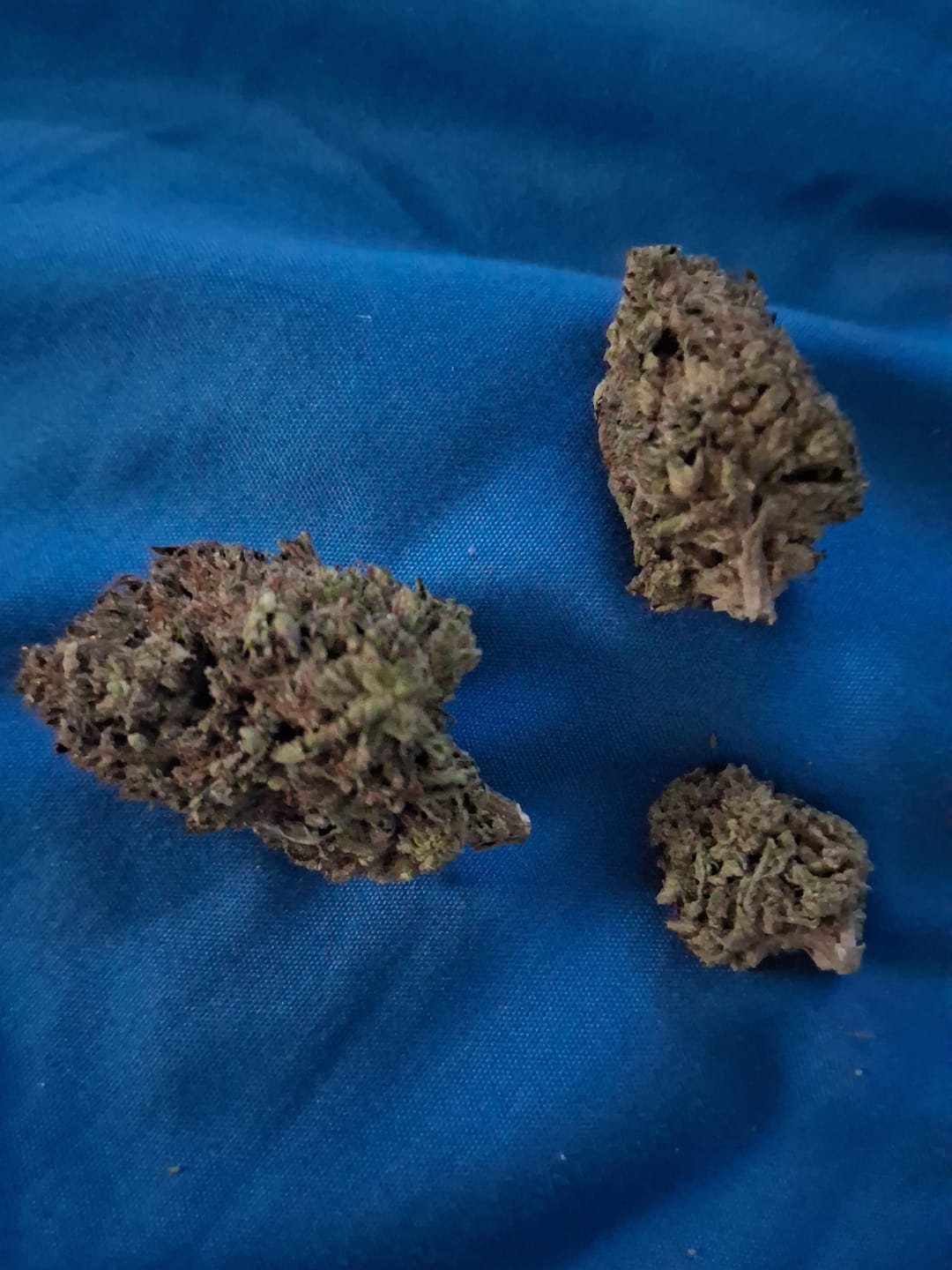 Customer photo review of Fruity Pebbles OG - 28 Grams - Indica