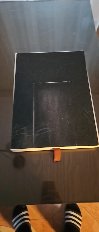 Customer photo review of Dog Nail Scratch Board with Treat Box – Stress Free Nail Filing for Dogs