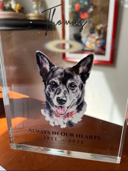 Customer photo review of The Eternal Light - Custom Memorial Pet Photo Acrylic