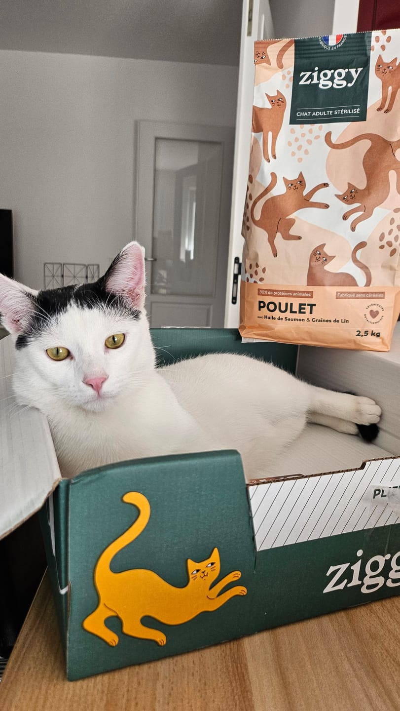 Customer photo review of Croquettes Chat Stérilisé Sans Céréales - Poulet