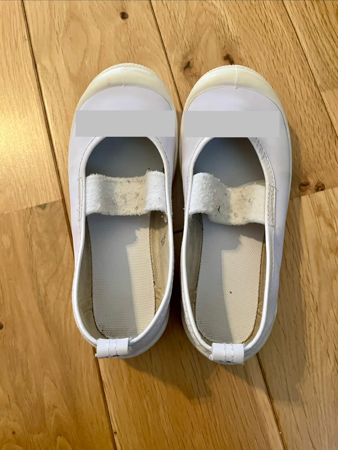 Customer photo review of ズックリーンネット(2枚1セット）正規品