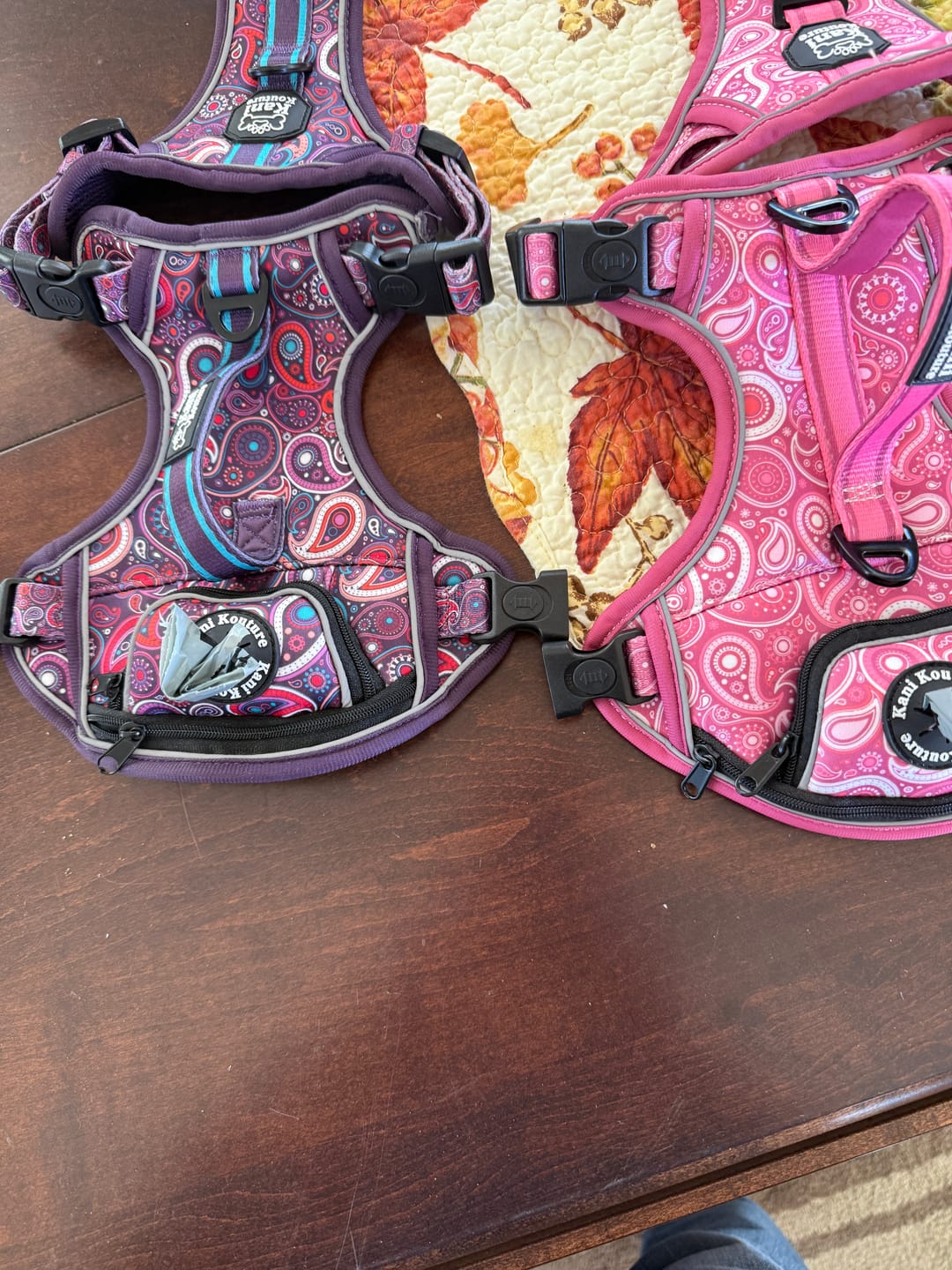 Customer photo review of Purple Paisley - Adventure Harness
