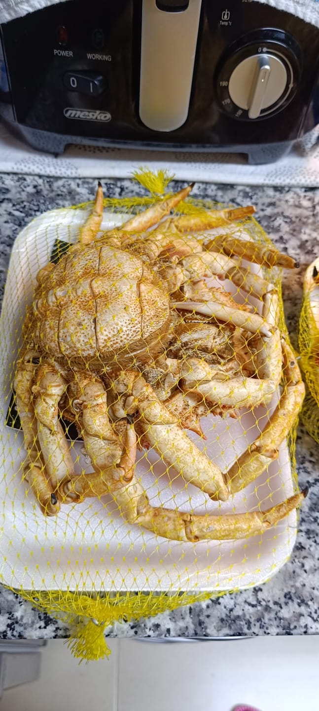Customer photo review of Centolla atlántica
