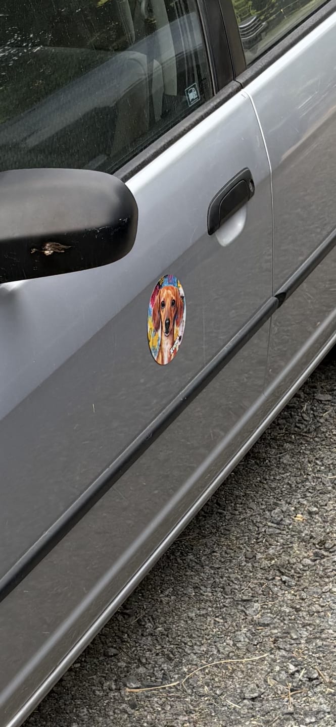 Customer photo review of Graffiti - Personalized Car Magnet