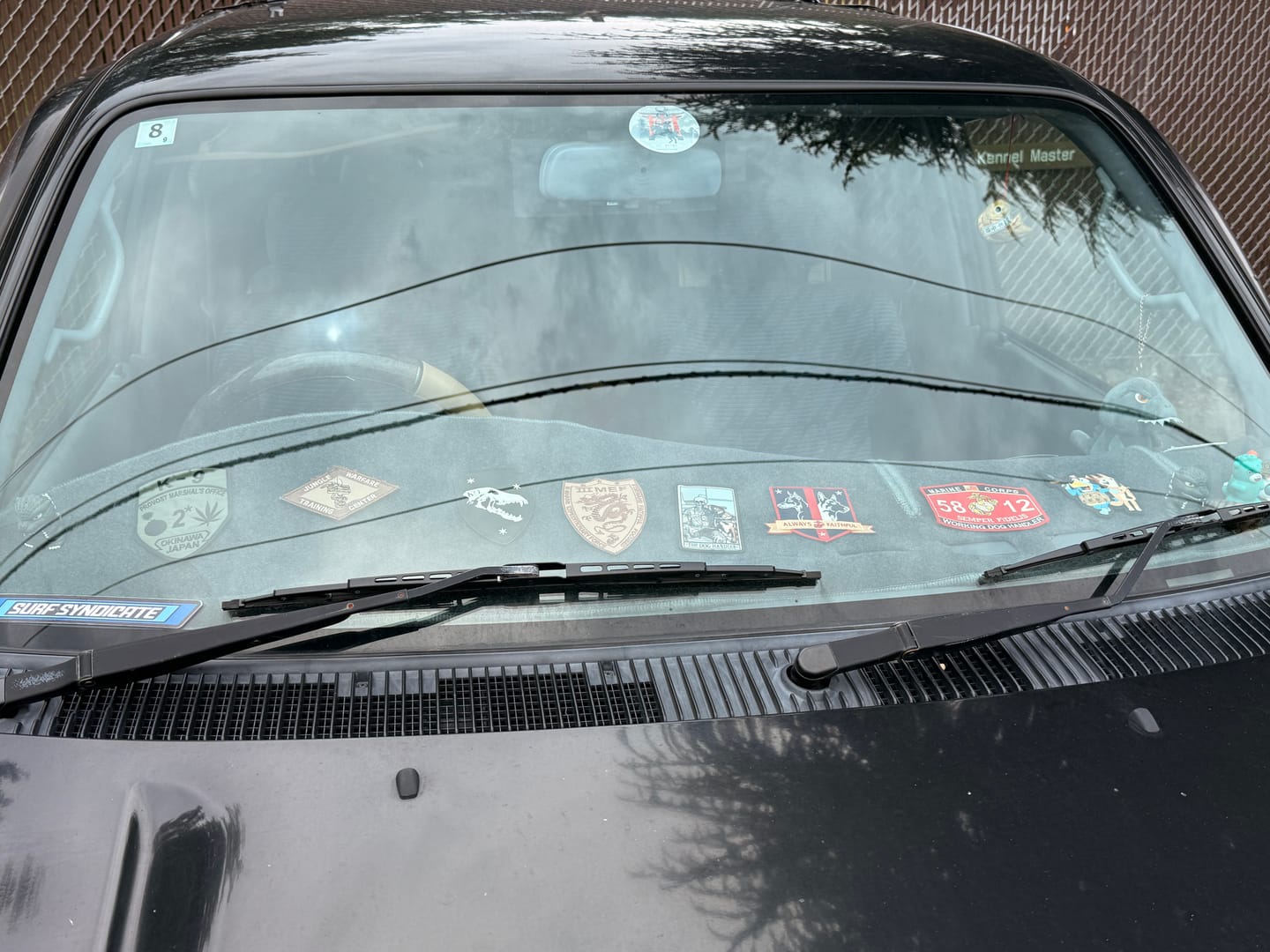 Customer photo review of Surf Carpet Dash Mat l 3rd Gen 96 - 02