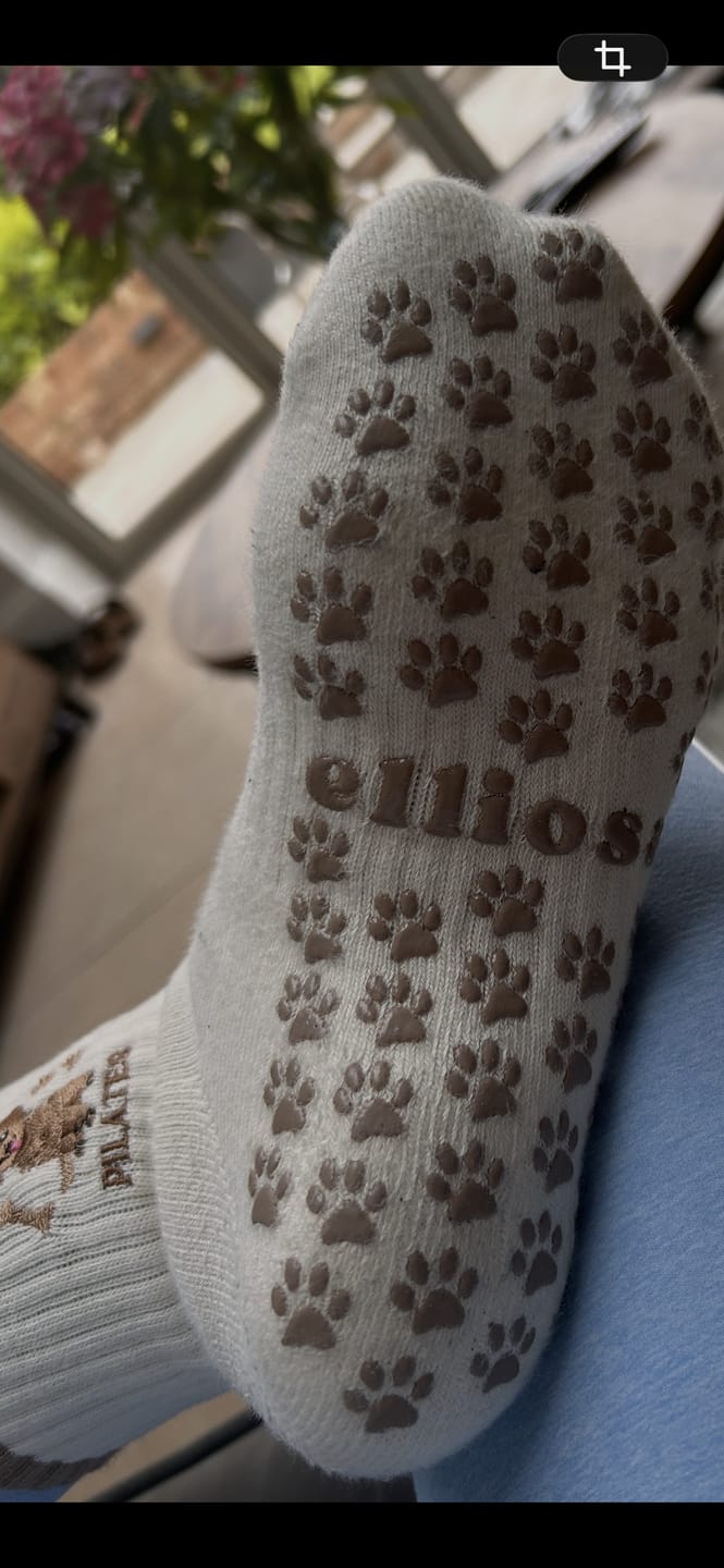 Customer photo review of Puppy Pilates