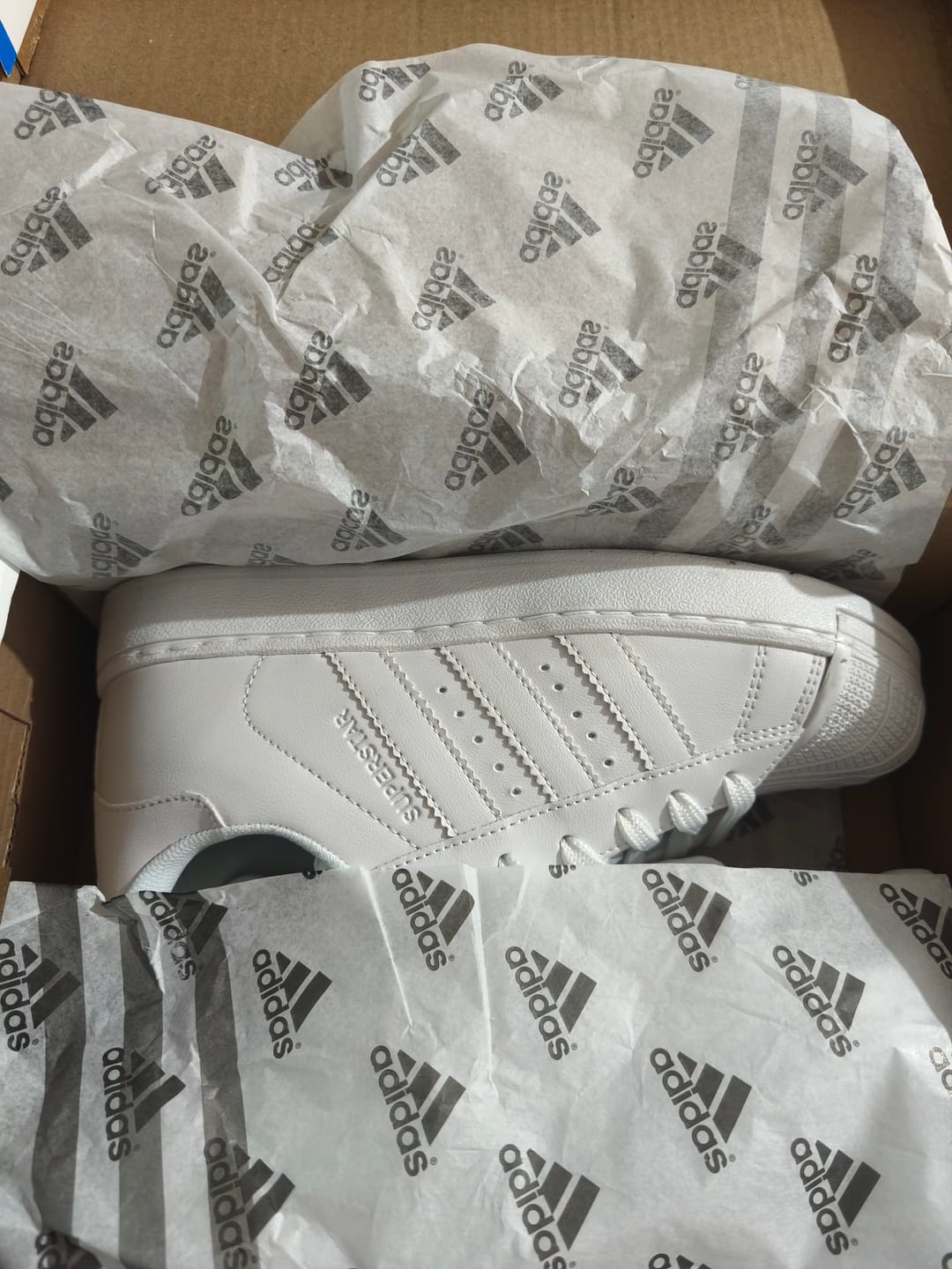 Customer photo review of Tenis Concha Blanco Total