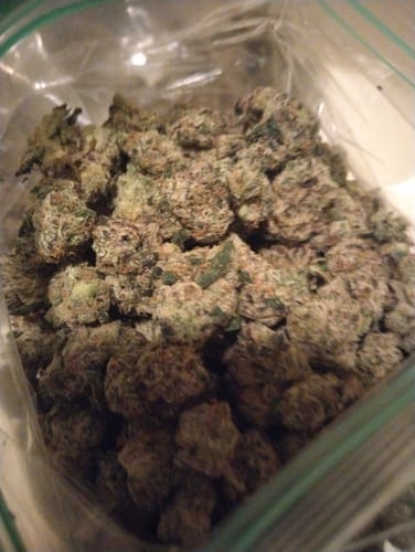 Indoor Exotic Hashburger - Bulk - Indica photo review