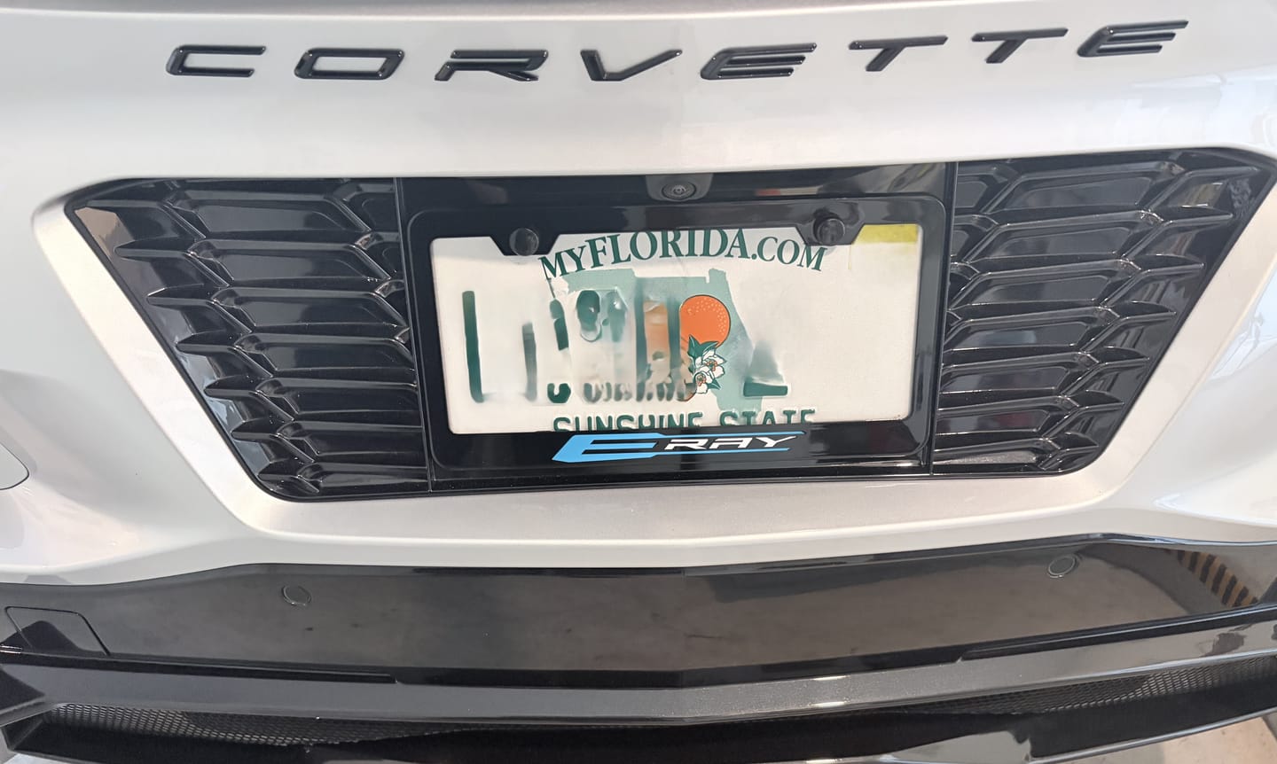 Customer photo review of Corvette C8 Z06 License Plate Backing