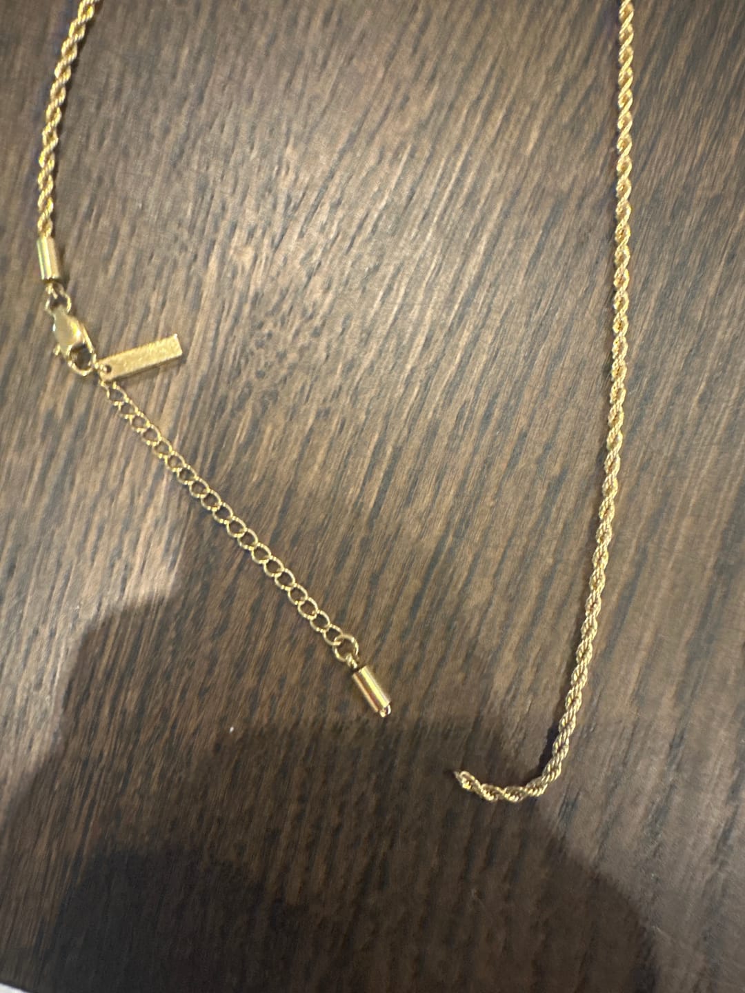 Customer photo review of Rope Chain 2MM (18K Gold Plated)