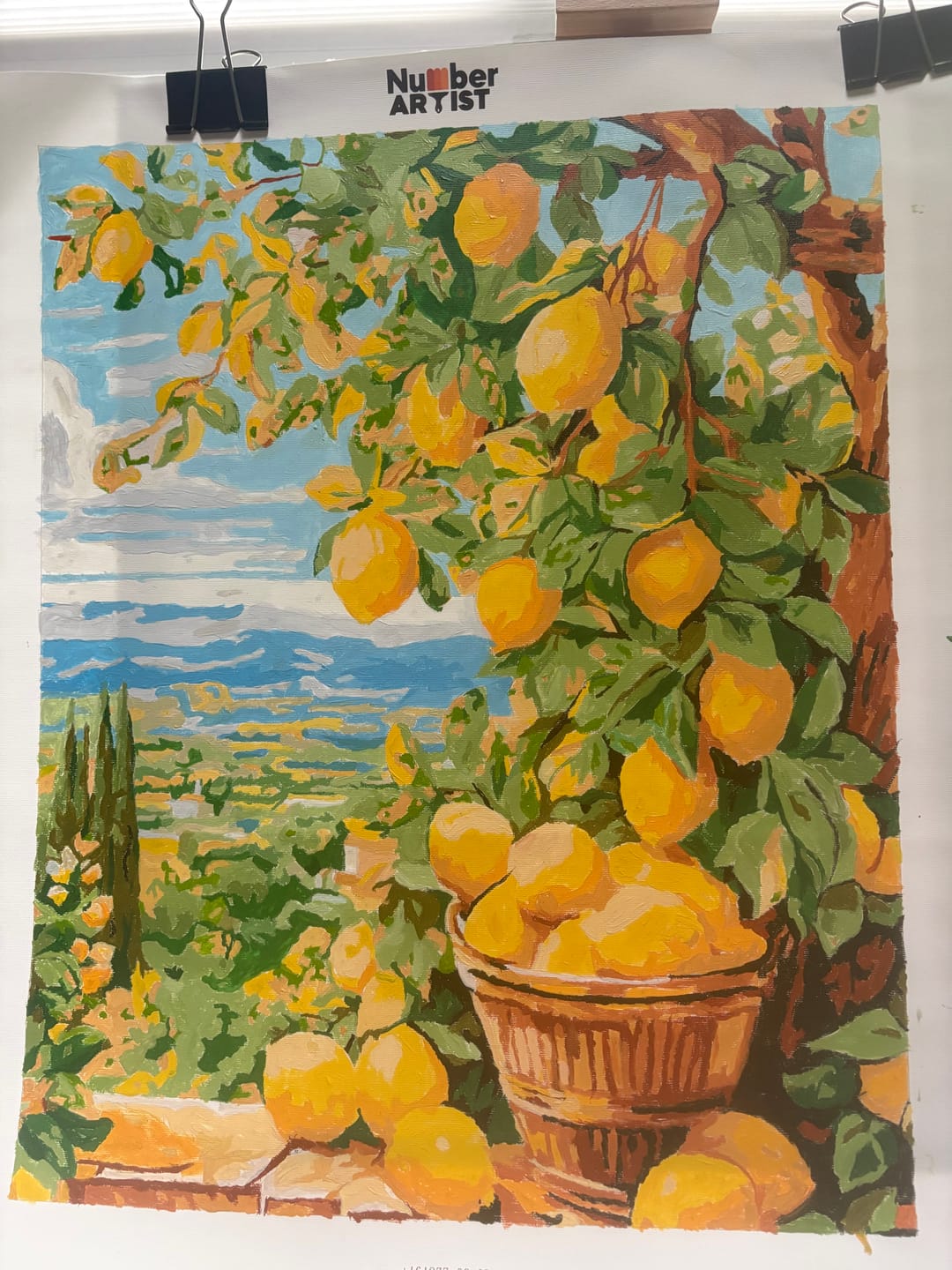 Customer photo review of Bounty Lemons