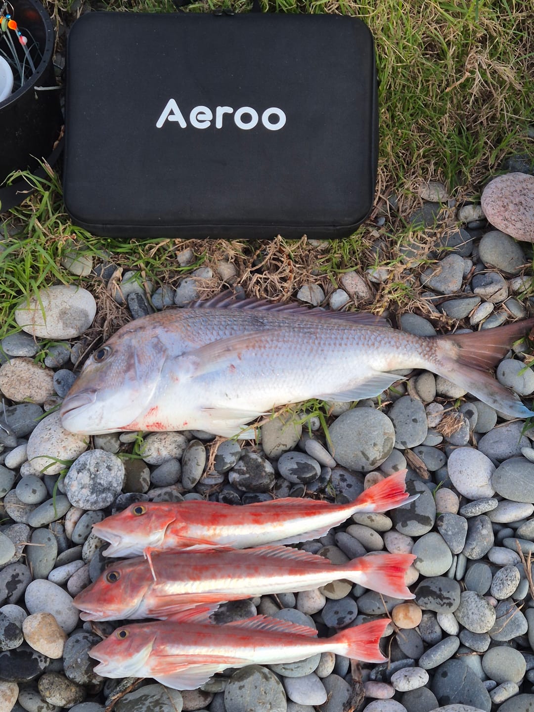 Customer photo review of Aeroo Pro