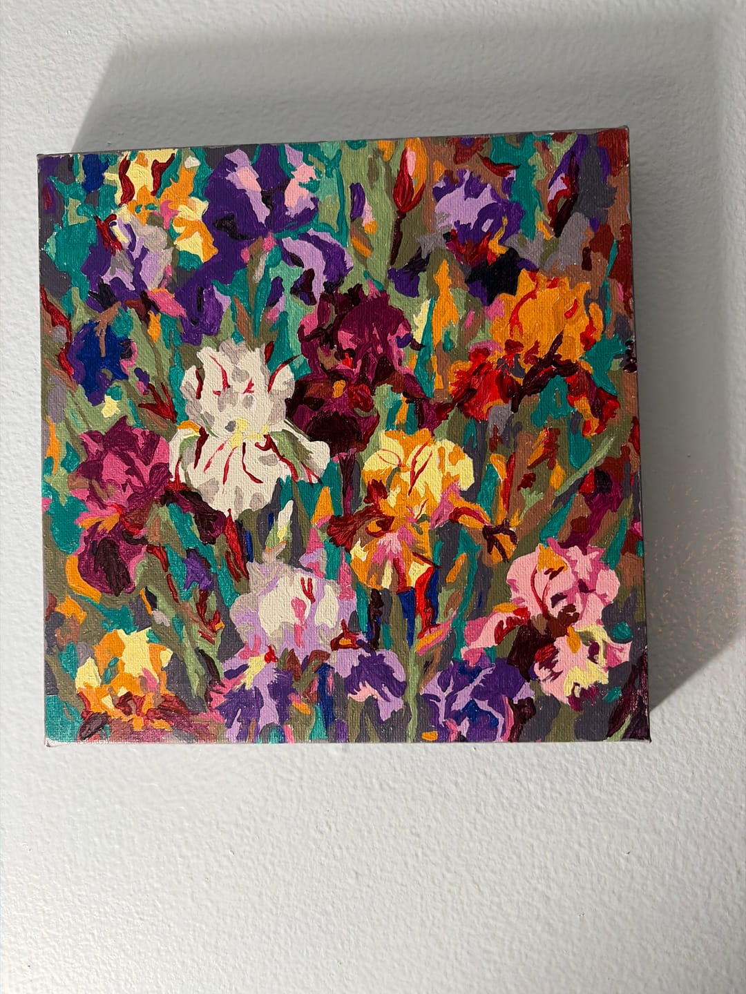 Customer photo review of Iris Bloom Symphony