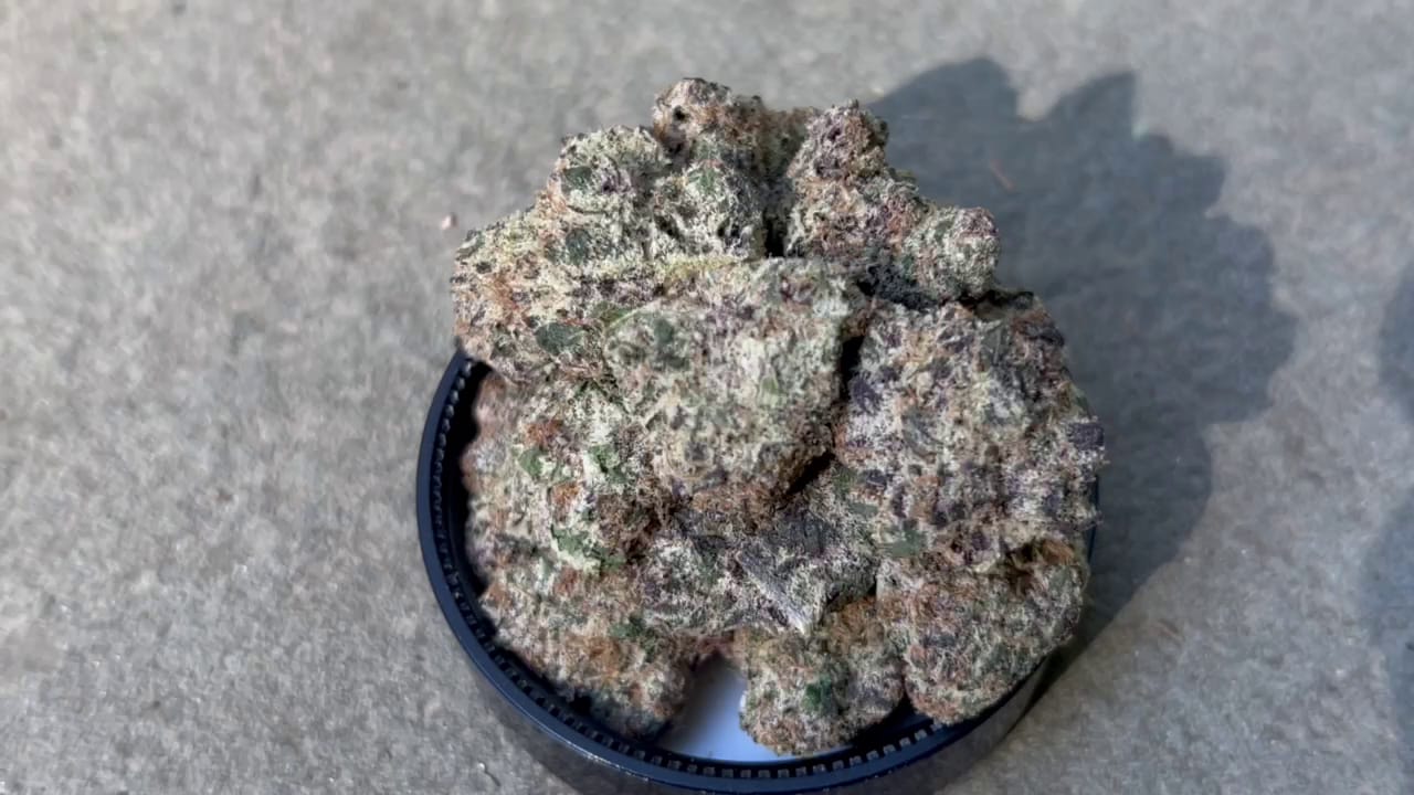 Customer photo review of Toad Venom