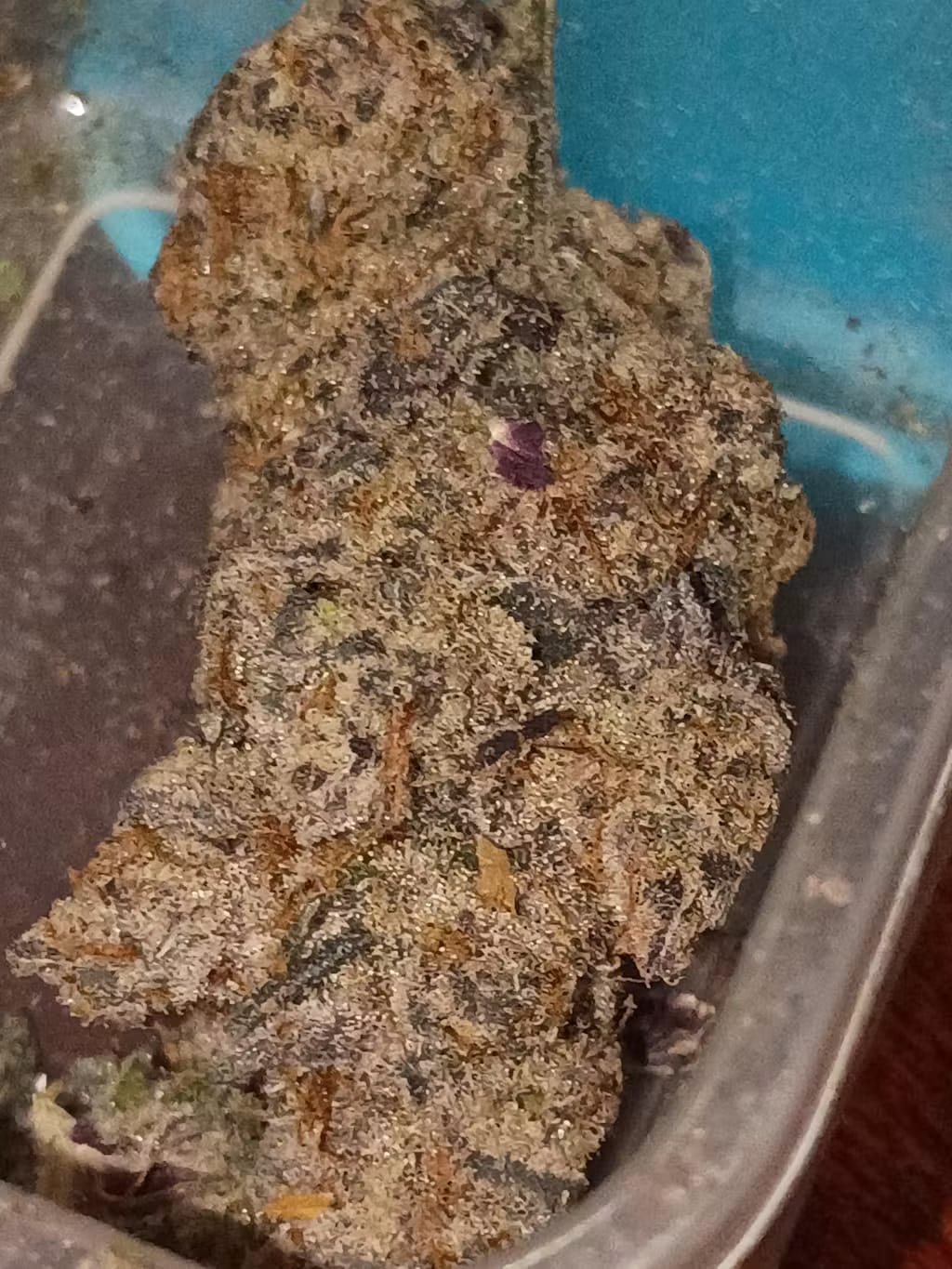 Customer photo review of Candy Flip