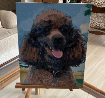 Customer photo review of Custom Paint By Numbers - Personalized Pet Portraits